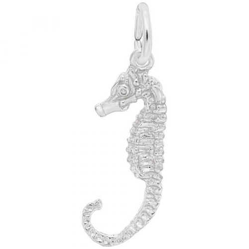 Seahorse "Rembrandt" Charm