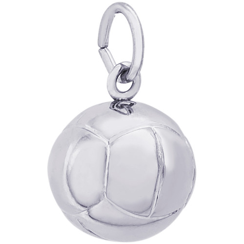 3D Volleyball "Rembrandt" Charm