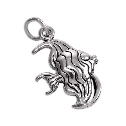 3D Angel Fish Charm