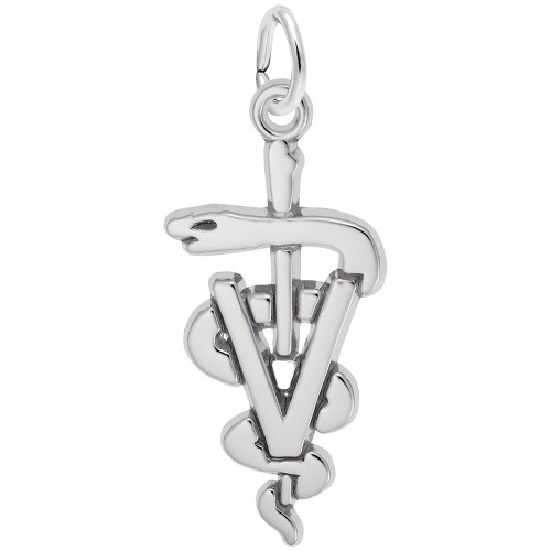 Vet Symbol "Rembrandt" Charm