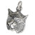 Bobcat Head Charm