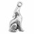 Coyote Charm