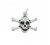 "Skull & Crossbone" Charm