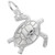 Sea Turtle "Rembrandt" Charm