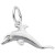 Dolphin "Rembrant" Charm