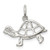 "Turtle" Charm