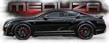Bentley Continental GT/GTC AD Body Kit 03-2011