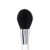 Paradise Brush | 853 - Large Powder