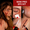 Mehron Mini-Pro Special FX Makeup Kit applications