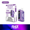 RAZ TN9000 5% NIC 9000 PUFFS RECHARGEABLE DISPOSABLE VAPE - 5CT DISPLAY