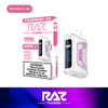 RAZ TN9000 5% NIC 9000 PUFFS RECHARGEABLE DISPOSABLE VAPE - 5CT DISPLAY