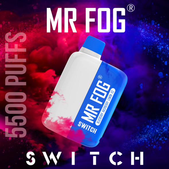 MR FOG SWITCH 15ML 5500 PUFFS RECHARGEABLE DISPOSABLE - 10CT DISPLAY