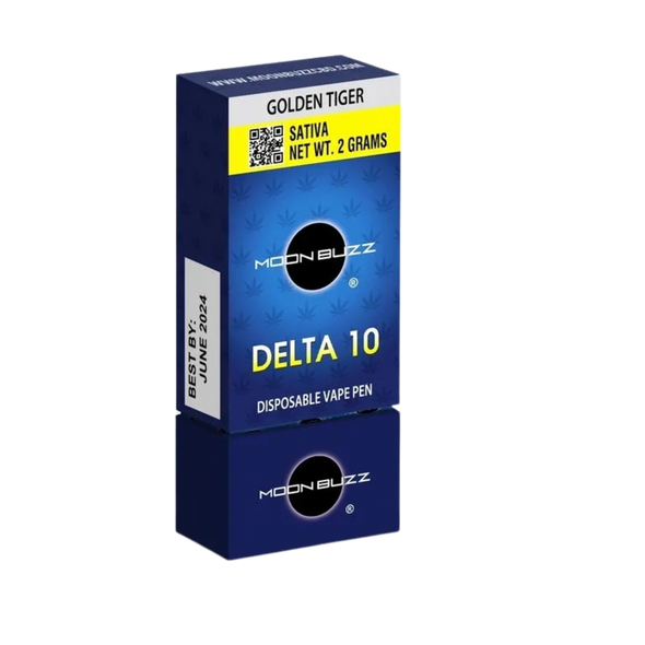 Delta 10 Disposable (2 Gram) VAPE