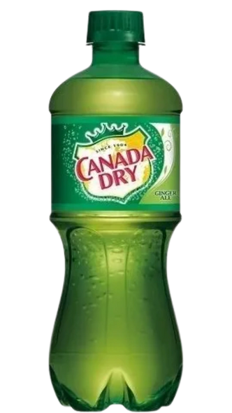 CANADA DRY GINGER ALE 24 PACK 20OZ