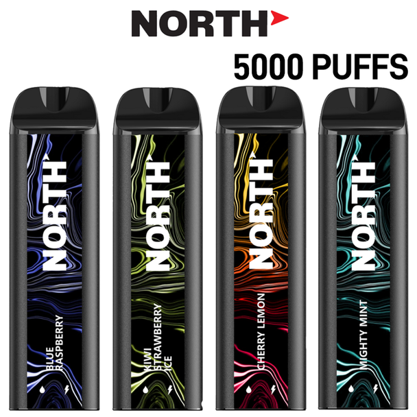 NORTH NIC 5% RECHARGEABLE DISPOSABLE 10ML 5000 PUFFS - 10CT DISPLAY