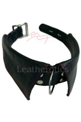 Punishment leather bondage collar - front