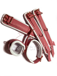 Pink white leather arm ankle neck cuff set 5 piece 1