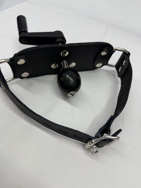 Adjustable bag gag for punisment