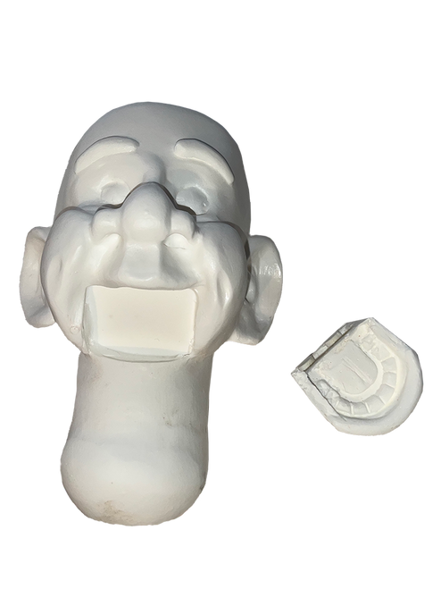 Head 2T - Cheeky (BC12)