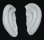 ears-3t-b-150px-w.jpg ears-3t-b-150px-w.jpg