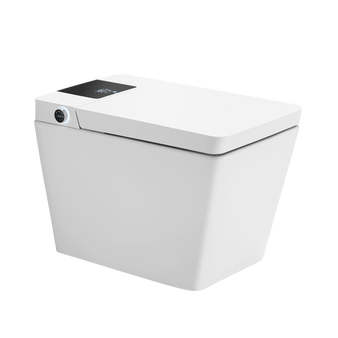 DFK2005 Bidet & Smart Toilet with Water Tank