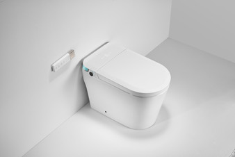 DFK6805W Bidet & Smart Toilet with Water Tank in White