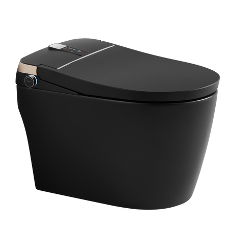 DFIF305 Tankless All in One Combo Bidet & Smart Toilet