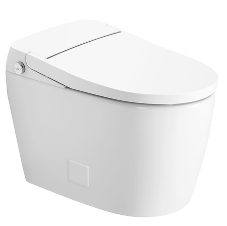 DFIF105AW Tankless All in One Combo Bidet & Smart Toilet in White