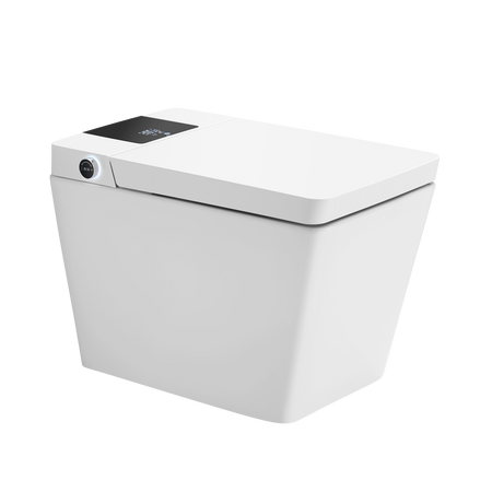 DFK2005 Bidet & Smart Toilet with Water Tank