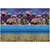 Vepotek Aquarium Background Ocean Seabed /Coral Reef Double sides (60WX24H)