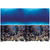 Vepotek Aquarium Background Deep Seabed/Coral Rock Double sides (Deep Seabed/Coral Rock, 48WX24H)