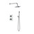 Dyconn Faucet Talise SS322TS2 Wall Mounted 2-Setting Shower Faucet System