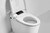 Dyconn Faucet DFK405W Bidet & Smart Toilet with Water Tank in White