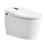 DFK305 Bidet & Smart Toilet with Water Tank