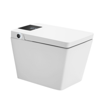 DFIF20 Tankless All in One Combo Bidet & Smart Toilet