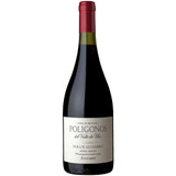 Zuccardi Poligonos Paraje Altamira Malbec