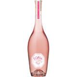 Sofia by Coppola Monterey Rose