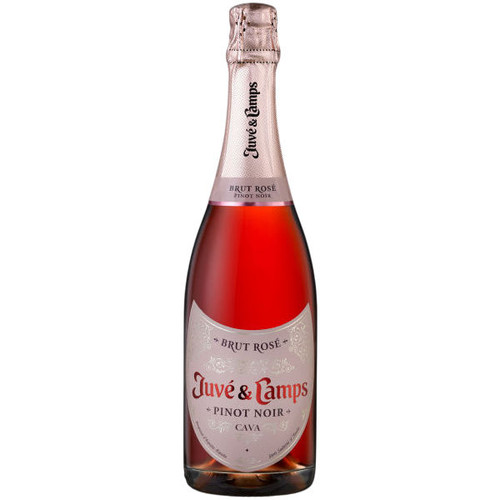 Juve y Camps Pinot Noir Brut Rose NV