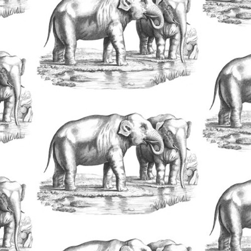 Black and white Elephant toile wallpaper.
