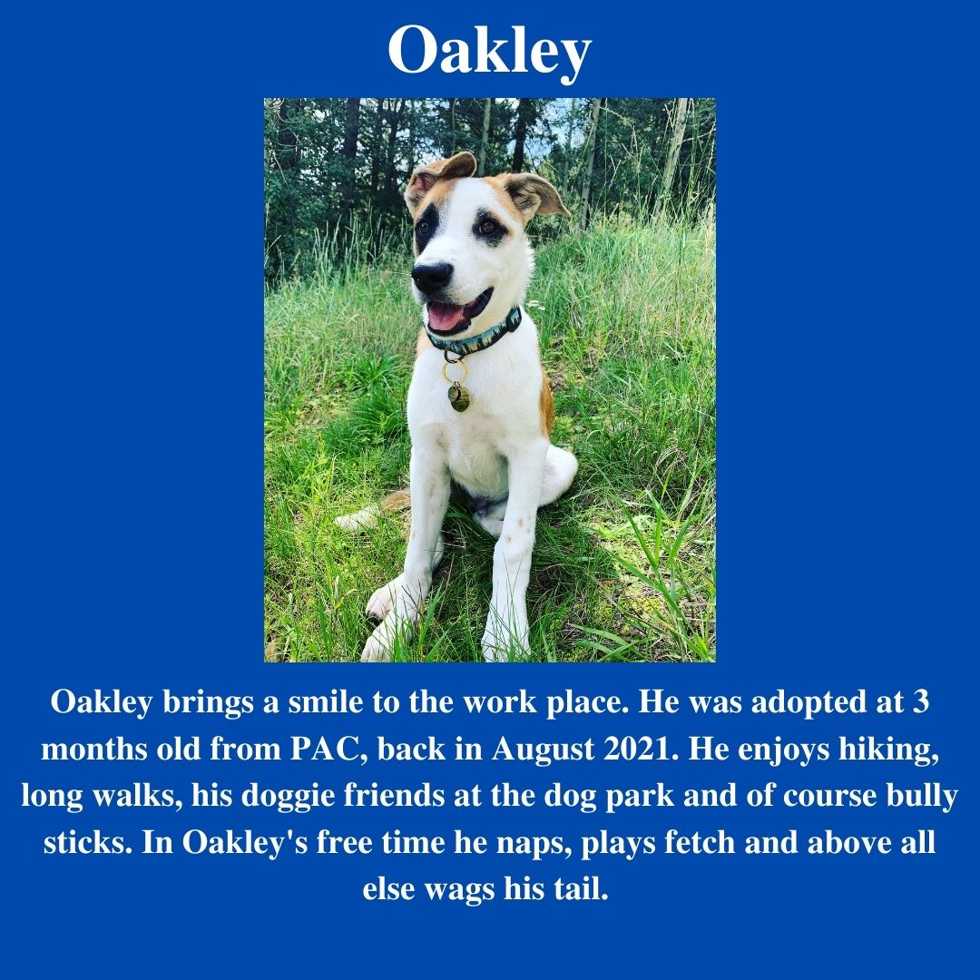 oakley-final-.jpg