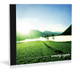 CD Case