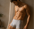 Men's Cotton Jersey Boxer Briefs, Grey Print, 2-Pack