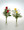 Lavish and colorful double rose vase with greens and beautiful filler