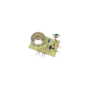 Chaney Electronic Burglar Alarm Kit Chaney Electronic Burglar Alarm Kit