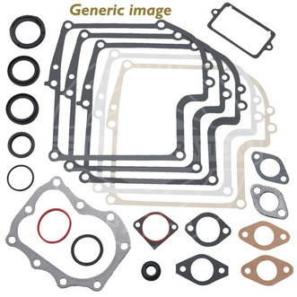 generic image of a set of engine gaskets from briggs & stratton for use with their 900 series engines