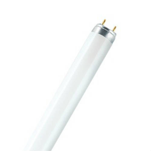 Gestreept Onhandig binden Osram Lumilux T8 36W 8000K 1300 lm Fluorescent Lamp