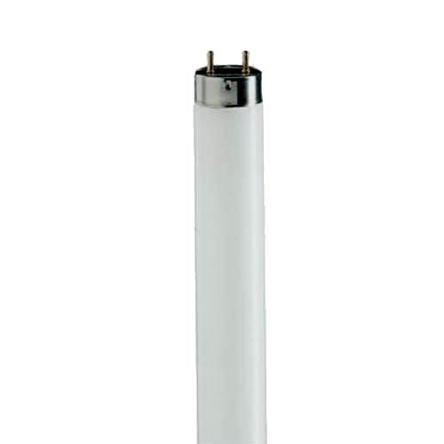 Sylvania Octron 800XP 25W 4100K Fluorescent T8 Tube