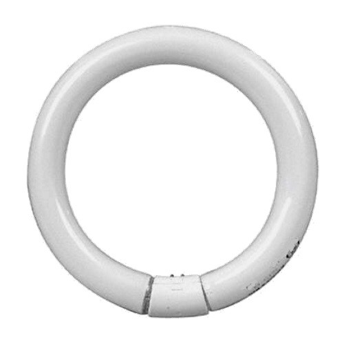 Sylvania Lighting 20W Fluorescent T9 Circline 6in Diameter Lamp