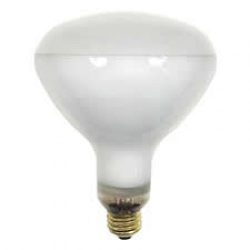 GE 21A/R40/FL For Rated 300W Poollight 12V China - ADLSupply.com