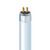 50W T5 4100K Cool White High Output Fluorescent Lamp